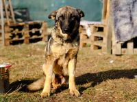 Schenkst du Tessa die Chance ihres Lebens?