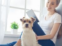 Hundetrainer Ausbildung 2024 in Stuttgart