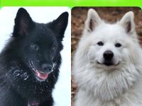 von den Stiefeler Spitzen