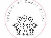 Cattery of Zucci Rucci