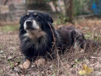 Mara - endlich ankommen