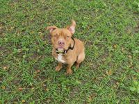 Oskar sucht Platz auf Endzeit