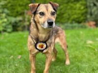 Du und der süße Finn-Freunde fürs Leben?