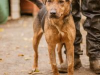 Stopli hat Power unter dem Hintern