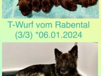 vom Rabental