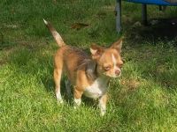 Malvin sucht sein Liebhaberzuhause