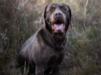 Vom Nienbrügger Winkel