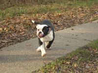 Family Sweetheart´s