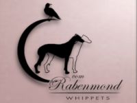 Whippets vom Rabenmond