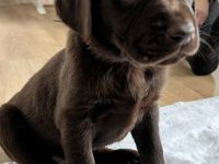 Wir dürfen ausziehen