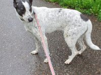 Langzeit Wohnort  gesucht  nicht in der Stadt....kein Verkauf