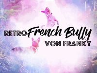 Retro French Bully von Franky