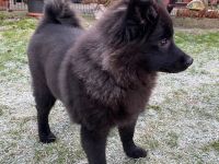 Von den Wendlandspitzen