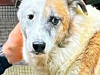 Thyson hofft auf Dich!