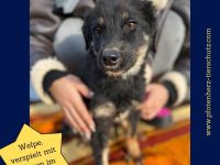 TONI möcht nicht allein zurückbleiben