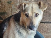 Barney, sucht Menschen mit Erfahrung