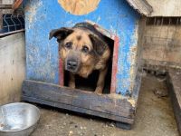 Darf ich vorstellen, Wesley!