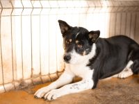 Die sanfte, liebe Lara taut langsam auf