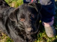 Mamba, ist immer zu Späßen aufgelegt und bringt Euch zum Lachen