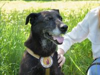 Zurly wartet auf deinen Besuch