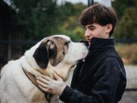 Keano - großer Schmuser sucht ein warmes Zuhause