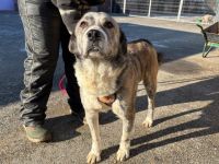 Kann dich Phils Blick verzaubern?