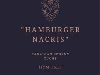 Canadian Sphynx Kitten Verein Zucht Hamburg