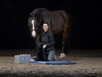 Hundephysiotherapie / Pferdephysiotherapie Böblingen / Tierphysiotherapie FeinGefühl