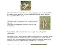 Rhodesian Ridgeback Mix Welpen