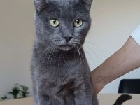 Huerto - sehr lieb und menschenbezogen