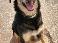 Roundy - der Unscheinbare