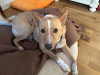 Sensibler Justus wartet auf seine Familie