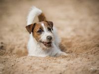 Never Say Never Again