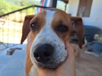 Tapfere Faith sucht Dich!