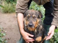 Sanny wartet auf ihr ganz eigenes Körbchen