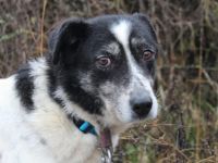 Wo sind Susus Menschen?