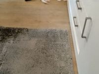 2 süsse Katzen suchen neues Zuhause