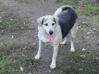 Zeigst du Silvan, dass das Leben auch schön sein kann?