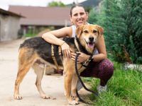 Conan sucht ein Zuhause! Adopt, don´t shop!