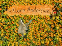 Tierkommunikation Kurs 3/4 August 2024 Rastede/Niedersachsen