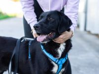 Jake Sully sucht seine eigene Familie