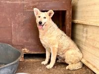 Wer zeigt Gretel wie schön das Leben ist?