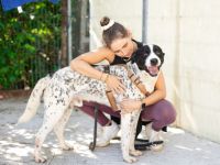 Blickfang Cookie sucht einen Platz als Einzelprinz!