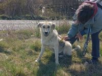 Nuri sehnt sich nach einer Familie!