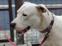 Einzigartige Evita sucht ihre Familie