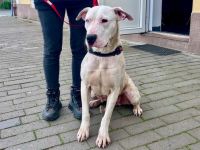 Einzigartige Evita sucht ihre Familie