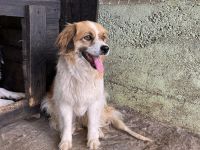 Mary, schüchtern und zurückhaltent