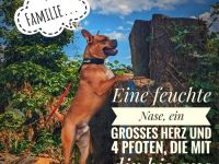 Warmes liebevolles bettchen für immer gesucht