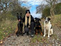 Hundeschule Kim Pawssible Hundetraining