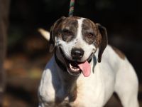 Lucy - möchte Einzelprinzessin werden